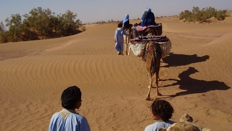 Morocco-desert-tours-camel trekking