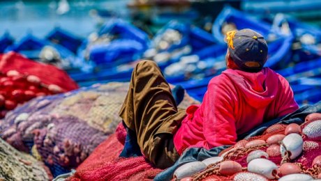 Morocco-family-holiday-Essaouira-fisherman
