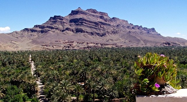 Southern Valleys Morocco - Draa Valley oasis