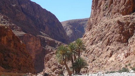 Morocco-rock-climbing-tours-Todra Gorge