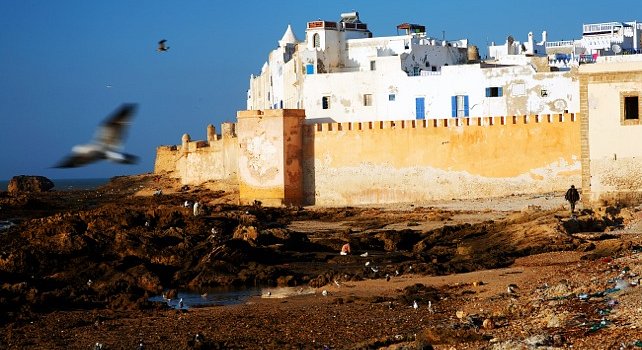 Atlantic-Coast-Morocco-Tours-Essaouira