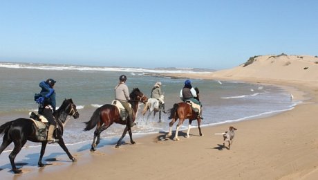 Morocco-tours-Essaouira-horse-riding