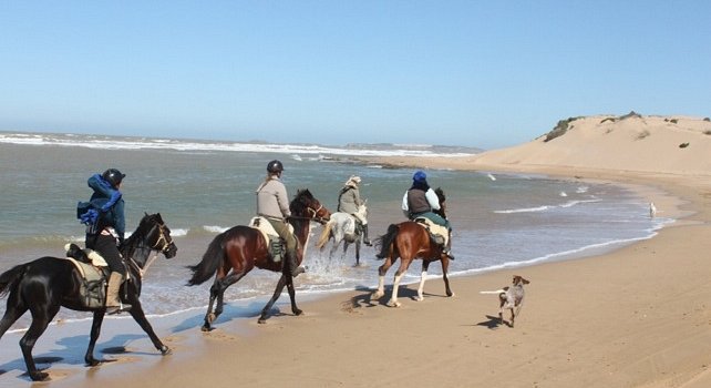 Atlantic-Coast-Morocco-Tours-Horseriding on beach