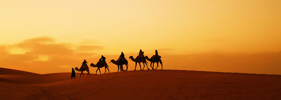 Camel trekking in the Moroccan Sahara
