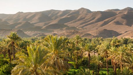 Ouarzazate-day-tours-Draa-Valley-Oasis