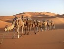 Great Southern Sahara Tour