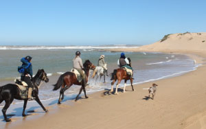 Exhilarating horse riding near Essaouira