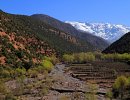 Day Trek and Lunch with Berber Family in Toubkal National Park