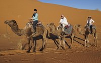 Camel trip - Merzouga