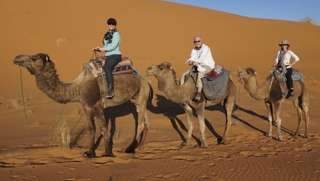 Morocco desert tours-camel-trip-Merzouga