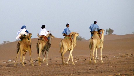 Morocco-desert-camel-trekking-adventure