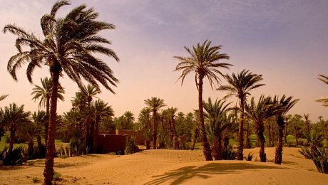 Morocco-sahara-desert-tour-Mhamid-oasis