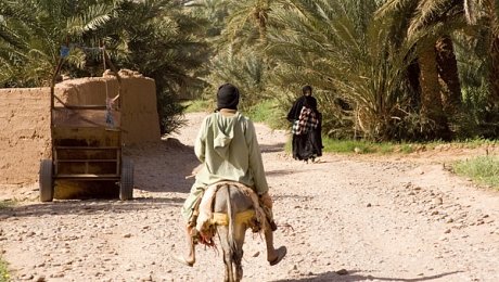 M'Hamid-el-ghizlane-day-tours-old-mhamid-camel-trek