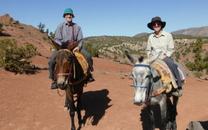 Mule trekking in Morocco
