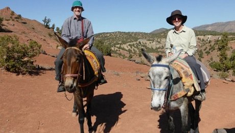 Marrakech-day-tours-Ouirgane mule-trekking