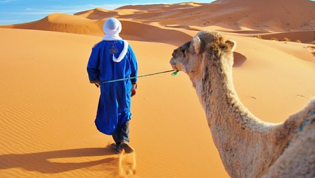 Morocco-desert-tours-camel caravan