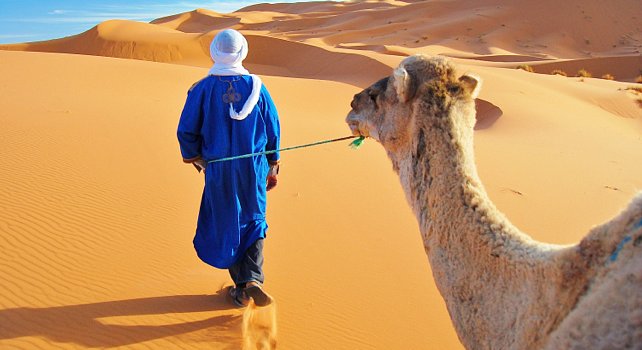 Sahara Desert Morocco - camel trekking and adventure tours
