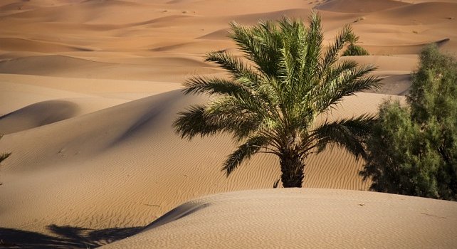 Sahara Desert Morocco - dunes and desert tours