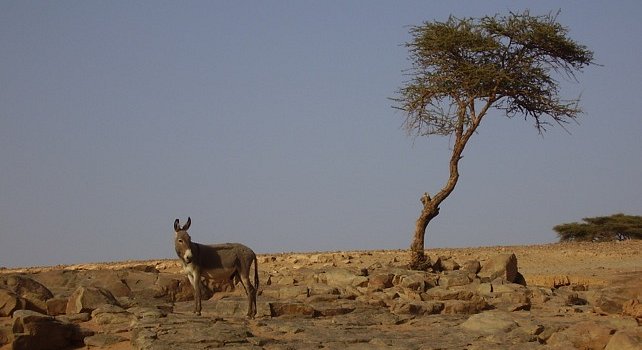 Sahara Desert Morocco - Sacred Oasis desert tour