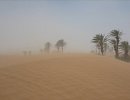 Screaming Dunes of the Sahara
