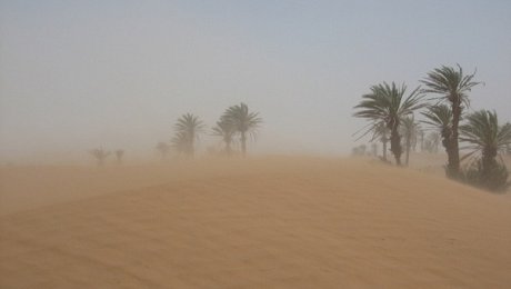 Morocco-desert-tours-sandstorm