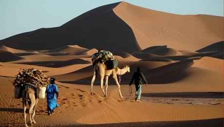 Morocco-desert-tours-Erg Ezahar-camel-trek