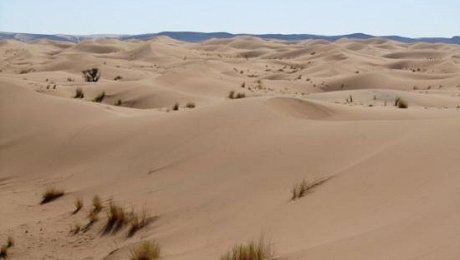 Morocco-desert-tours-Erg Ezahar-Screaming Dunes