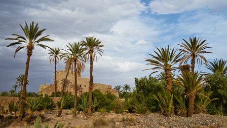 Ouarzazate-day-tours-skoura-oasis