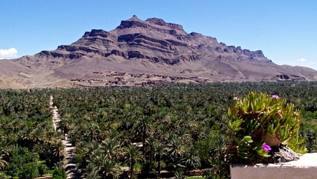 Ouarzazate-day-tours-Draa-Valley-Oasis-Jbel Kissane