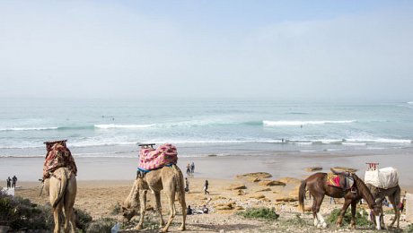 Morocco-Atlantic-Coast-tours-Taghazout-beach