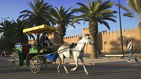 Taroudant-Atlas-Mountains-tours